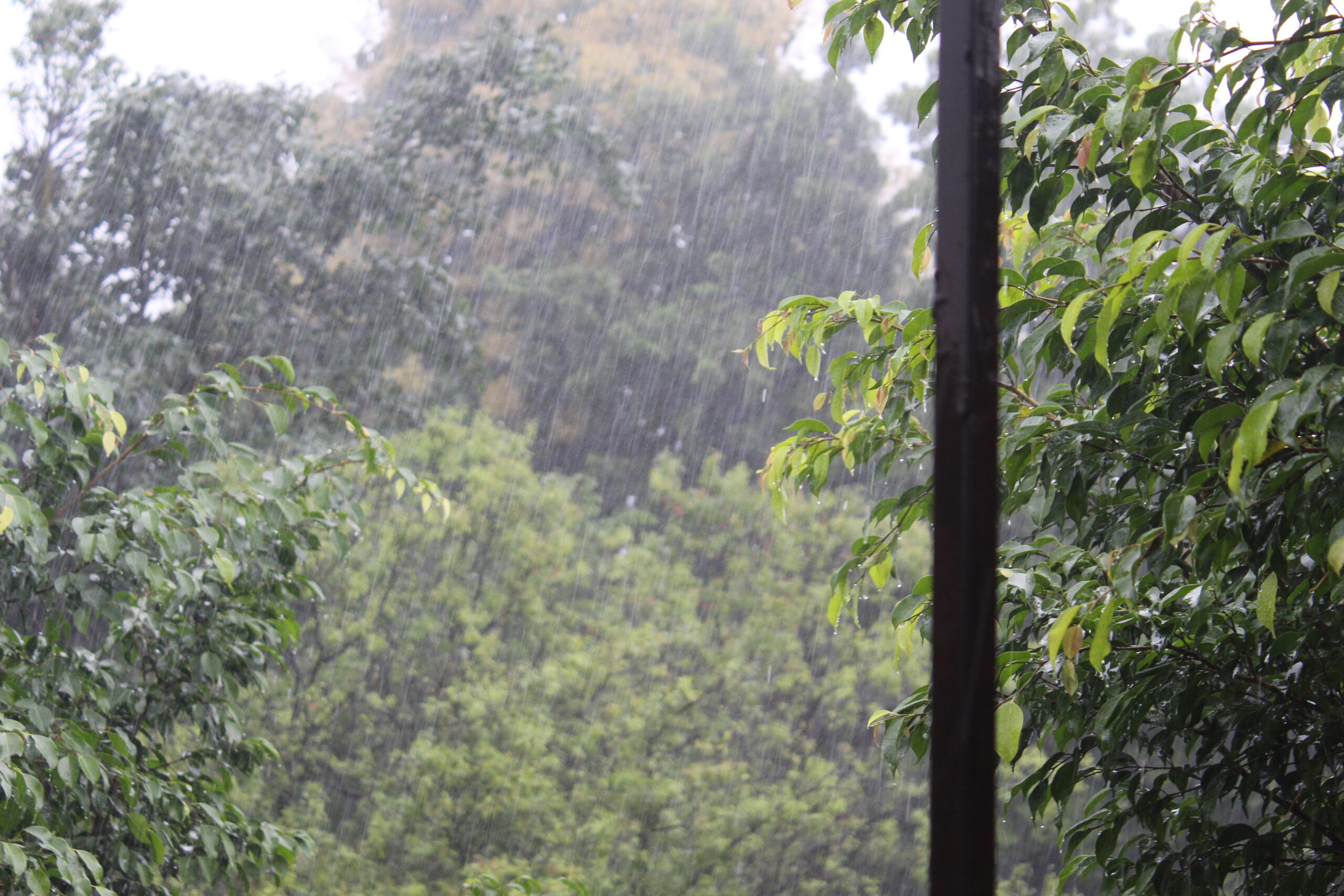 बारिश को लेकर ऑरेंज अलर्ट