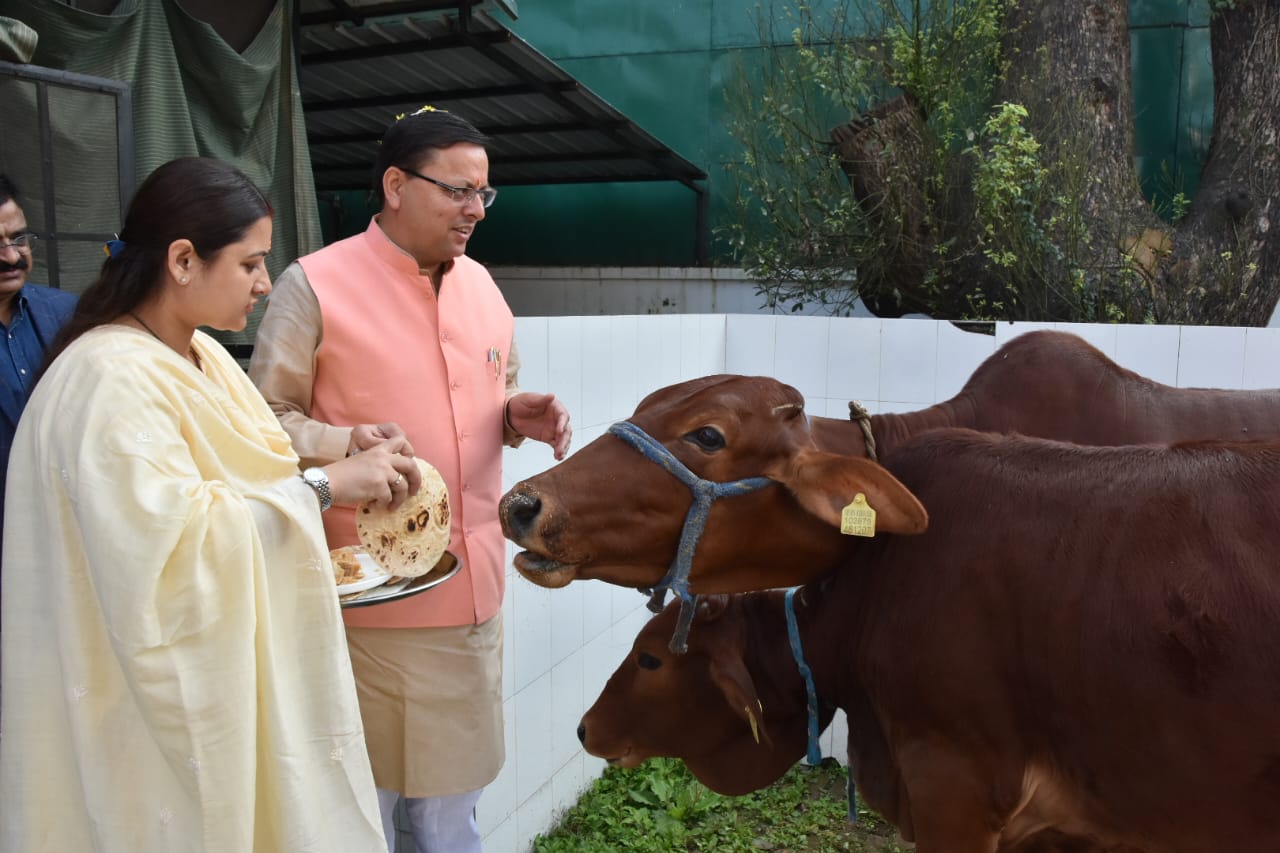 गौ पूजन करते हुए सीएम धामी एवं उनकी धर्मपत्नी गीता धामी 